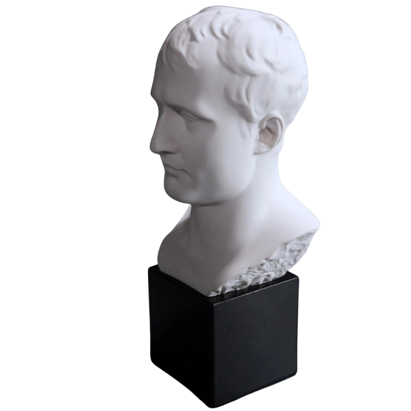 Napoleon Bonaparte Bust in White Marble with a Black Granite Stand from Italy