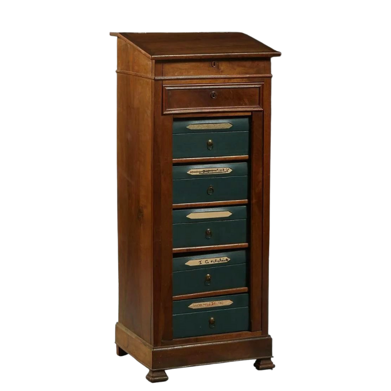 French Louis Philippe Carved Walnut Sidelock File