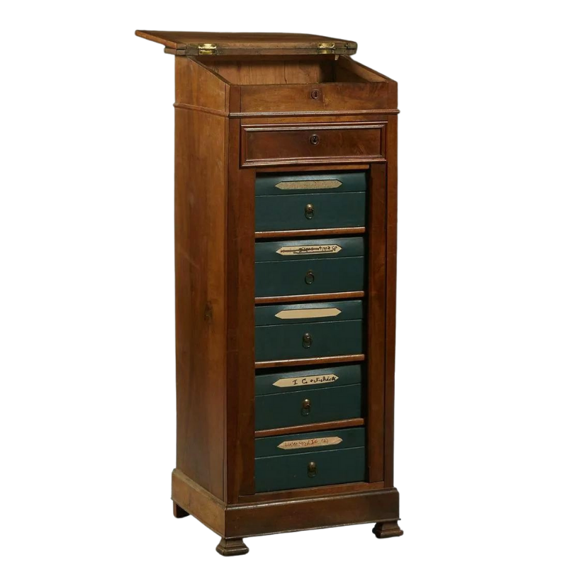 French Louis Philippe Carved Walnut Sidelock File