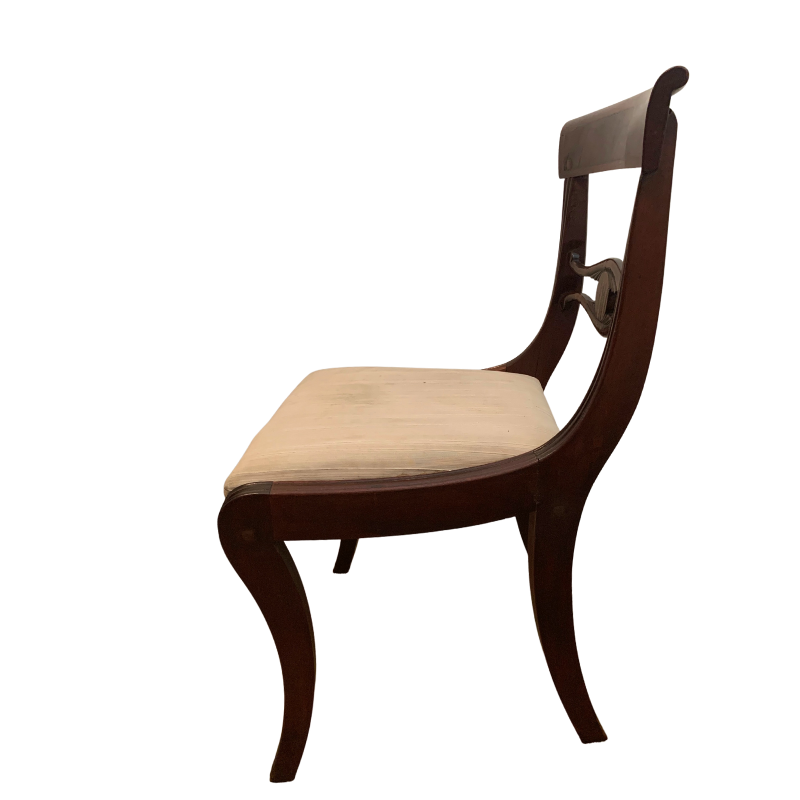 Regency Style Mahogany Saber Leg Chairs - Set of Six