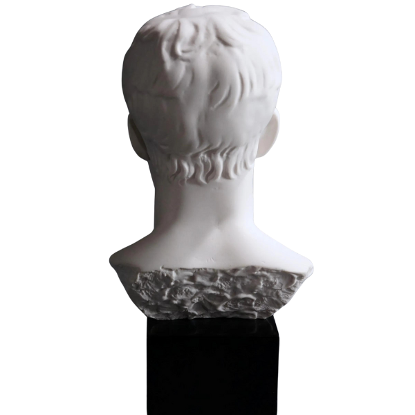 Napoleon Bonaparte Bust in White Marble with a Black Granite Stand from Italy